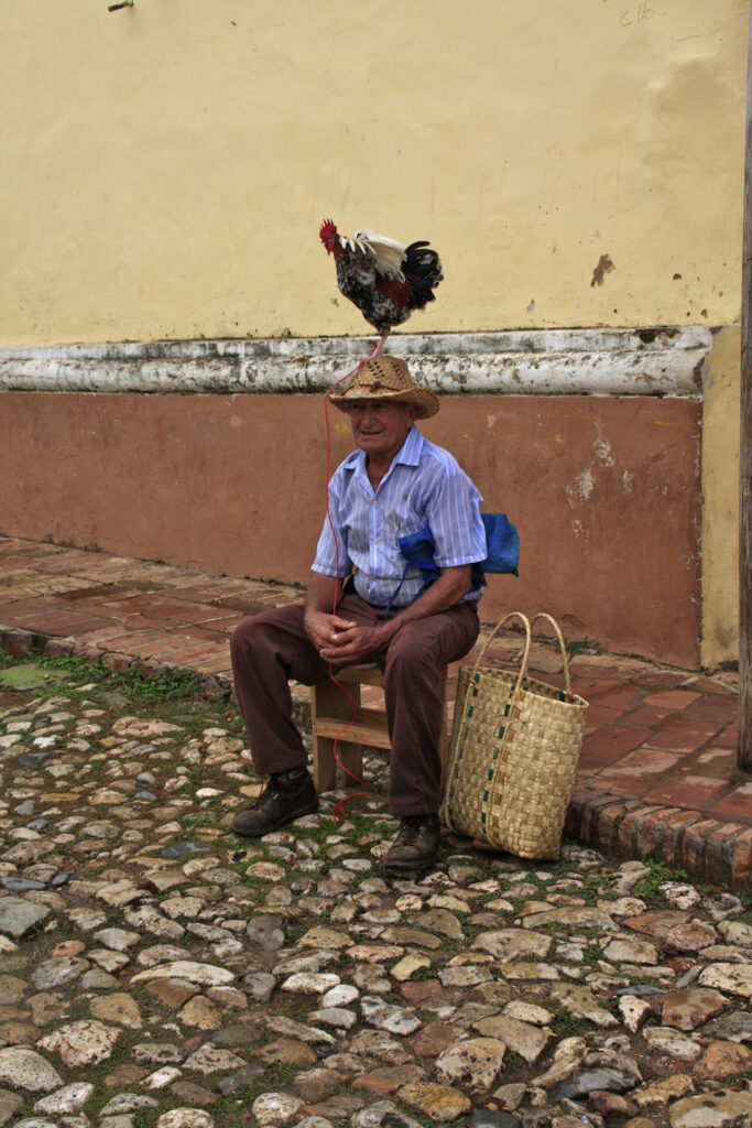 Kuba-Der letzte (Hahnen)-Schrei