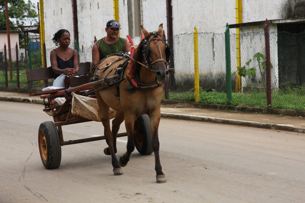 Kuba-Leben auf dem Lande 6