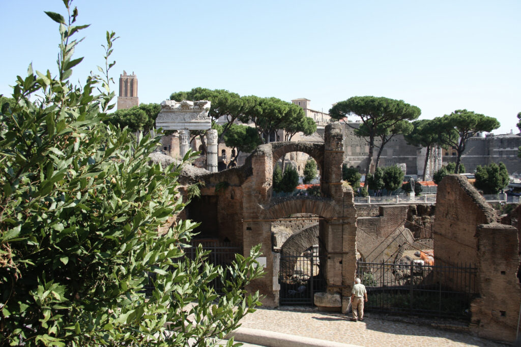 Rom-Blick zum Forum Romanum